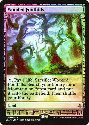 IMPORTABLE DUBAI-Wooded Foothills Zendikar Expeditions Foil Full Art English Magic: The Gathering