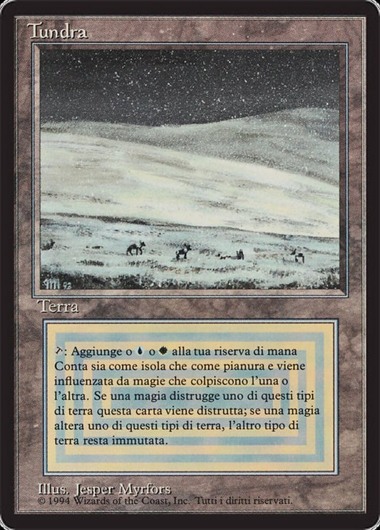 IMPORTABLE DUBAI-Tundra FBB German/FBB Italian